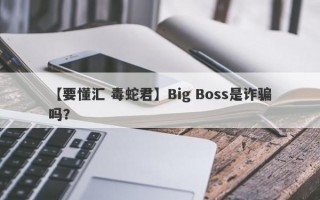 【要懂汇 毒蛇君】Big Boss是诈骗吗？
