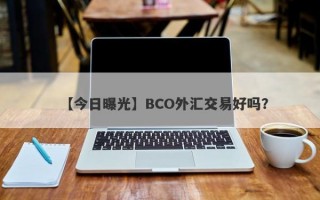 【今日曝光】BCO外汇交易好吗？
