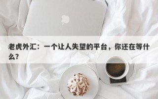 老虎外汇：一个让人失望的平台，你还在等什么？