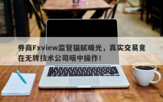 券商Fxview监管猫腻曝光，真实交易竟在无牌技术公司暗中操作！