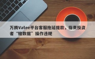 万腾Vatee平台客服拖延提款，指责投资者“赌数据”操作违规