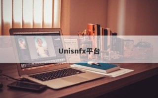 Unisnfx平台