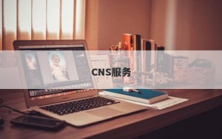 CNS服务