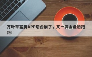 万叶草富腾APP后台崩了，又一资金盘恐跑路！