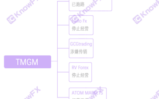 真相哥找到了这么一张直指TMGM与黑平台的关系的图谱！！接下来让我带你解析！！