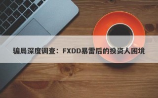 骗局深度调查：FXDD暴雷后的投资人困境