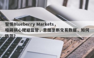 警惕Blueberry Markets，暗藏祸心规避监管，意图垄断交易数据，如何防范？