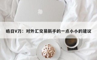 皓日V刀：对外汇交易新手的一点小小的建议