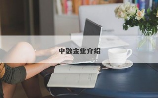 中融金业介绍