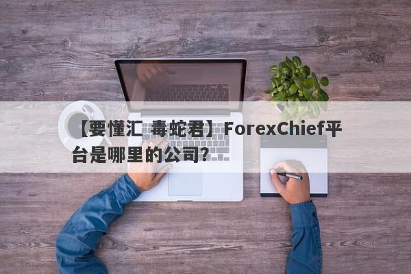 【要懂汇 毒蛇君】ForexChief平台是哪里的公司？
-第1张图片-要懂汇圈网