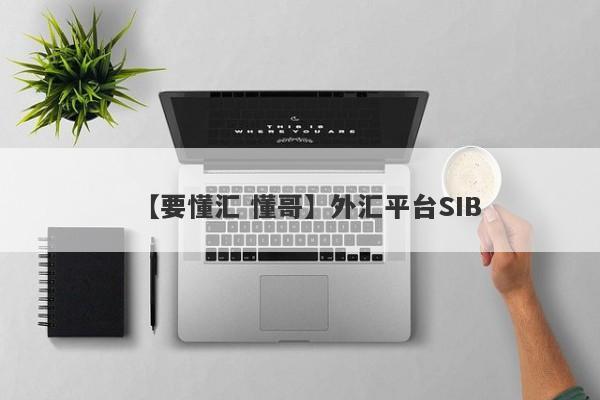 【要懂汇 懂哥】外汇平台SIB
-第1张图片-要懂汇圈网