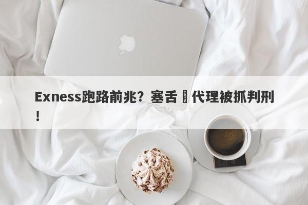 Exness跑路前兆？塞舌爾代理被抓判刑！-第1张图片-要懂汇圈网