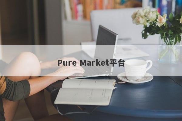 Pure Market平台-第1张图片-要懂汇圈网