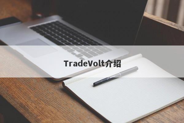 TradeVolt介绍-第1张图片-要懂汇圈网