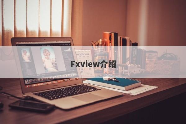 Fxview介绍-第1张图片-要懂汇圈网