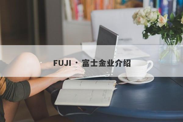 FUJI · 富士金业介绍-第1张图片-要懂汇圈网