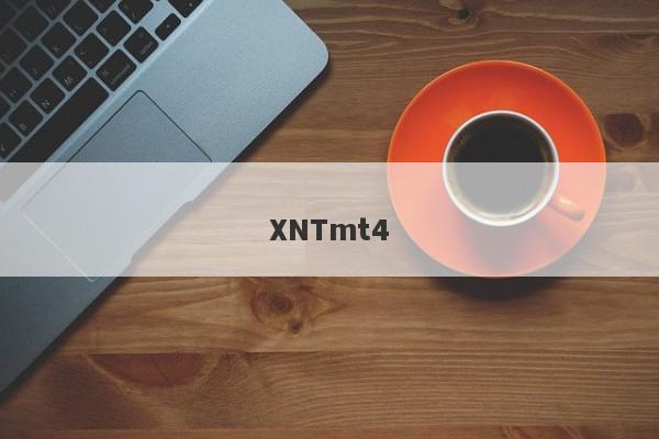 XNTmt4-第1张图片-要懂汇圈网