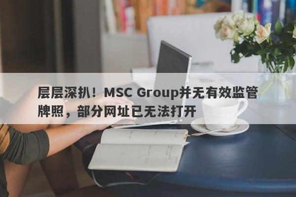 层层深扒！MSC Group并无有效监管牌照，部分网址已无法打开-第1张图片-要懂汇圈网