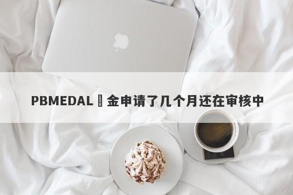 PBMEDAL岀金申请了几个月还在审核中-第1张图片-要懂汇圈网