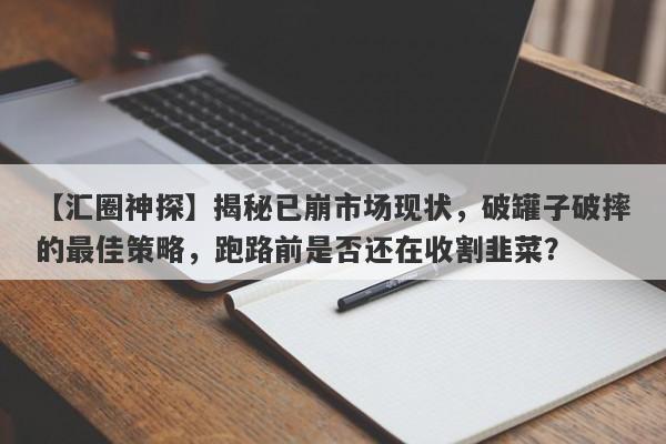 【汇圈神探】揭秘已崩市场现状，破罐子破摔的最佳策略，跑路前是否还在收割韭菜？-第1张图片-要懂汇圈网