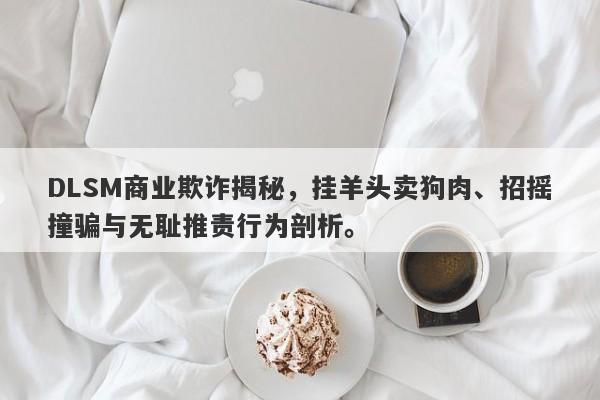 DLSM商业欺诈揭秘，挂羊头卖狗肉、招摇撞骗与无耻推责行为剖析。-第1张图片-要懂汇圈网