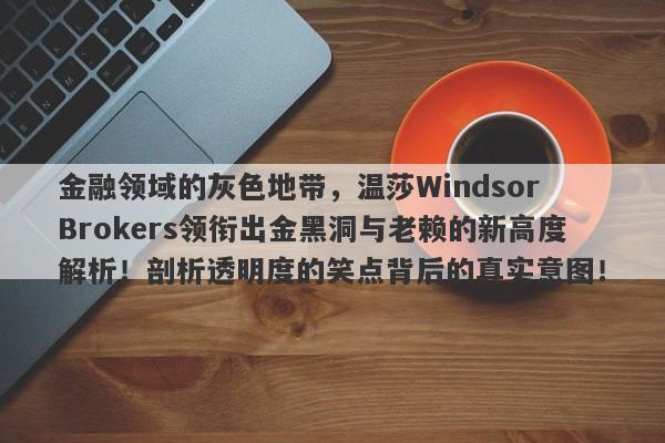 金融领域的灰色地带，温莎Windsor Brokers领衔出金黑洞与老赖的新高度解析！剖析透明度的笑点背后的真实意图！-第1张图片-要懂汇圈网