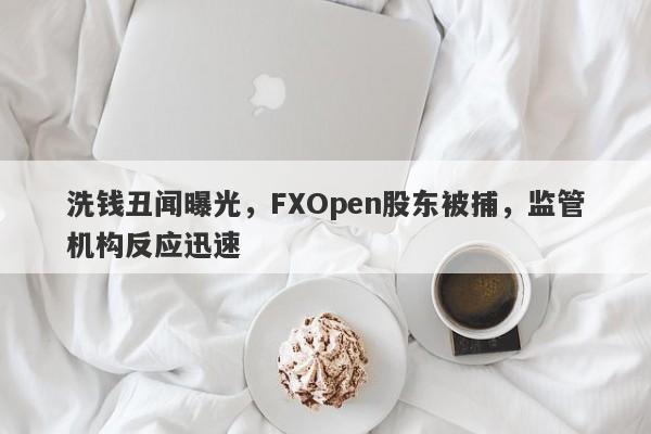 洗钱丑闻曝光，FXOpen股东被捕，监管机构反应迅速-第1张图片-要懂汇圈网