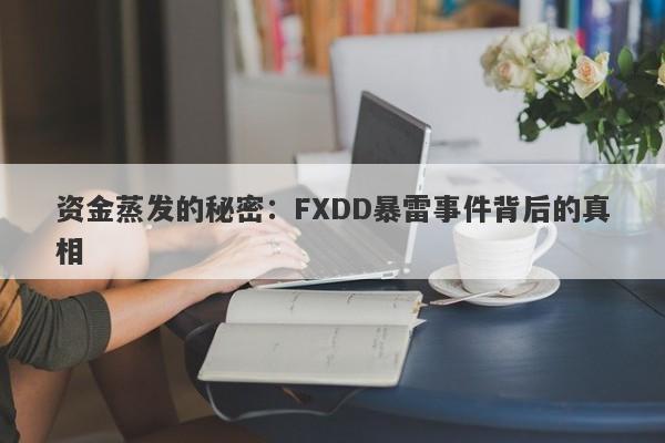 资金蒸发的秘密：FXDD暴雷事件背后的真相-第1张图片-要懂汇圈网