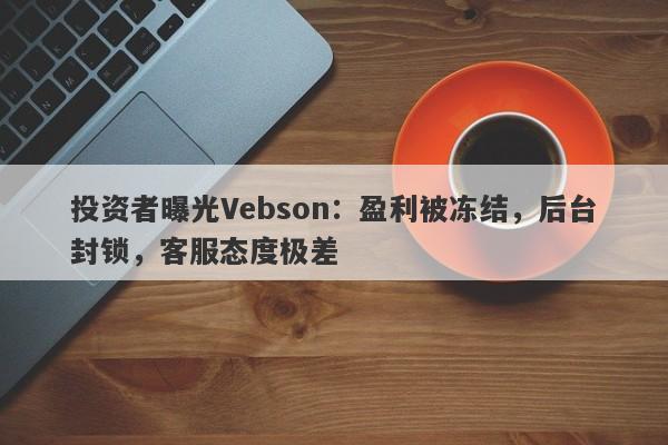 投资者曝光Vebson：盈利被冻结，后台封锁，客服态度极差-第1张图片-要懂汇圈网