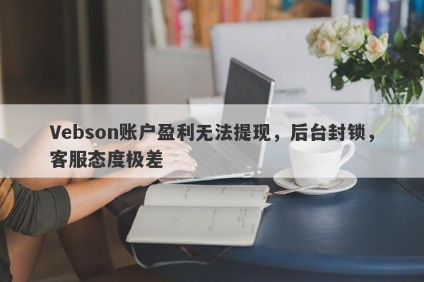 Vebson账户盈利无法提现，后台封锁，客服态度极差-第1张图片-要懂汇圈网