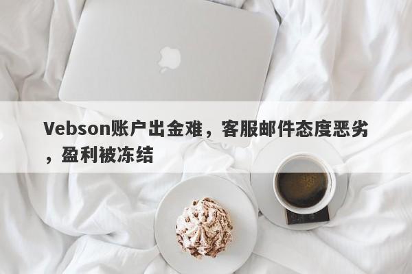 Vebson账户出金难，客服邮件态度恶劣，盈利被冻结-第1张图片-要懂汇圈网