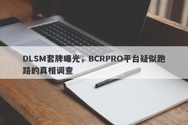 DLSM套牌曝光，BCRPRO平台疑似跑路的真相调查-第1张图片-要懂汇圈网