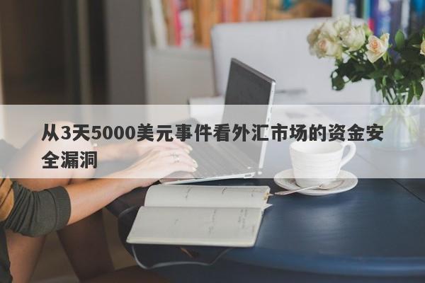 从3天5000美元事件看外汇市场的资金安全漏洞-第1张图片-要懂汇圈网