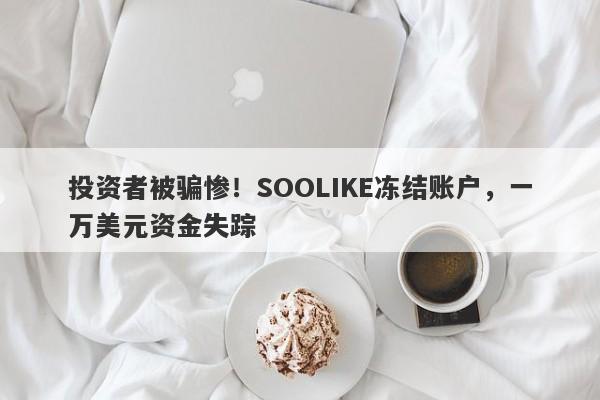 投资者被骗惨！SOOLIKE冻结账户，一万美元资金失踪-第1张图片-要懂汇圈网